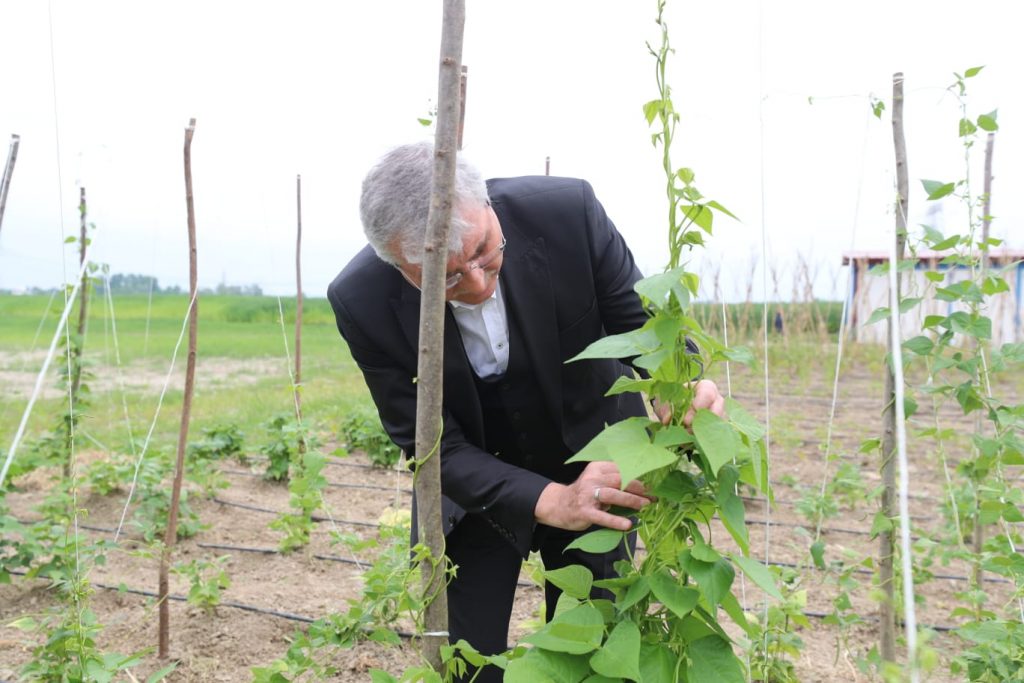 Ekrem YÜCE“Kenevirin mucizesinden tüm Türkiye faydalanacak”