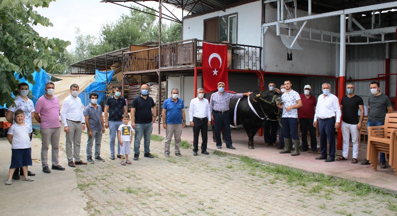 Corana’lı Kurban farkı