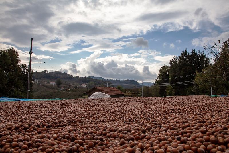 Ferrero Değerli Tarım Ekibi uyardı