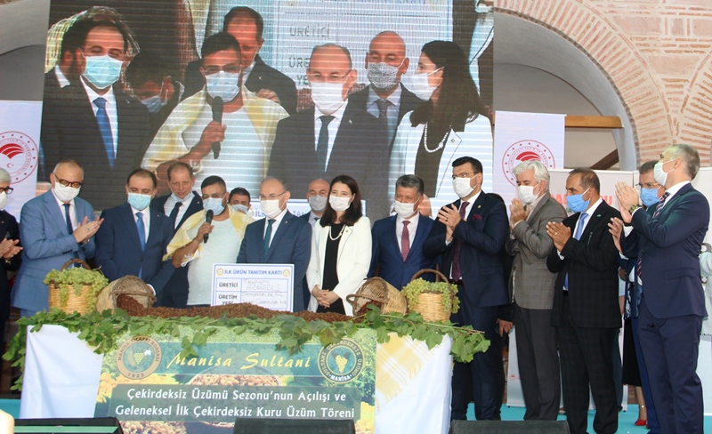 Üzüm ihracatında hedef kuruda 500, tazede 180 milyon dolar