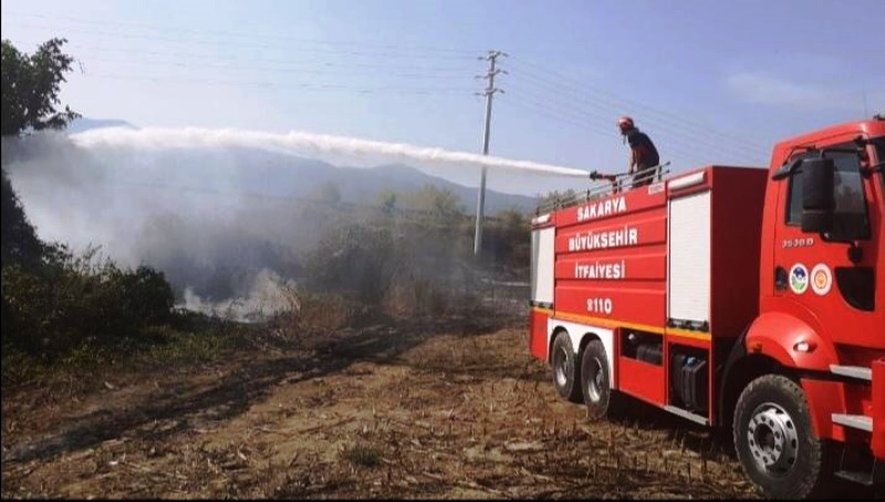 Anız yakmak çevreye ve doğaya zarar veriyor