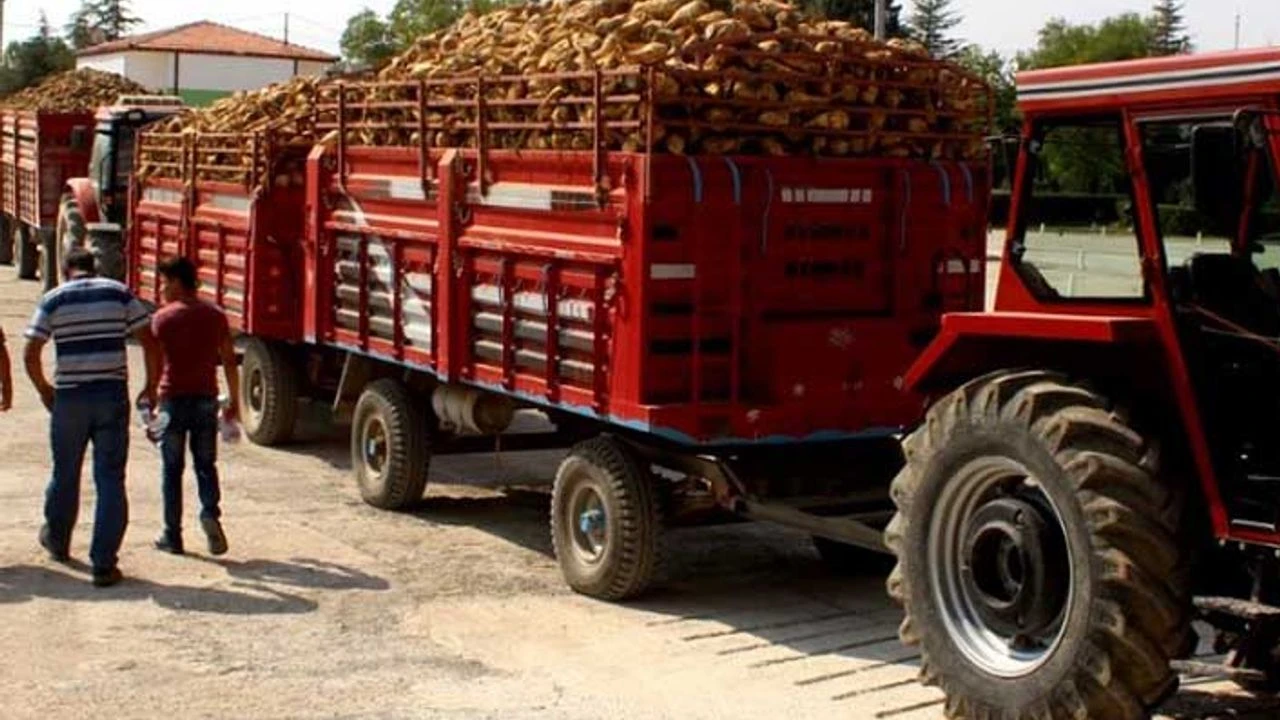 ŞEKER PANCAR ÜRETİCİLERİ  İSYAN ETTİ