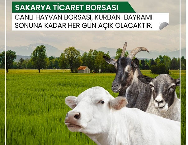 Sakarya Ticaret Borsası’ndan Kurban Bayramı Açıklaması