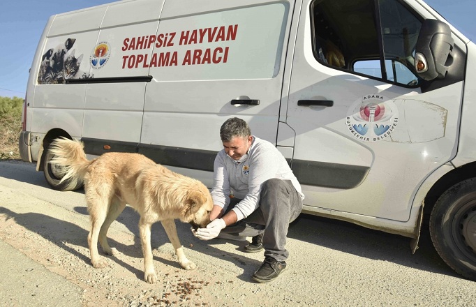 Büyükşehir, sokak canlılarıyla ilgili hizmeti ve desteği artırarak sürdürüyor…