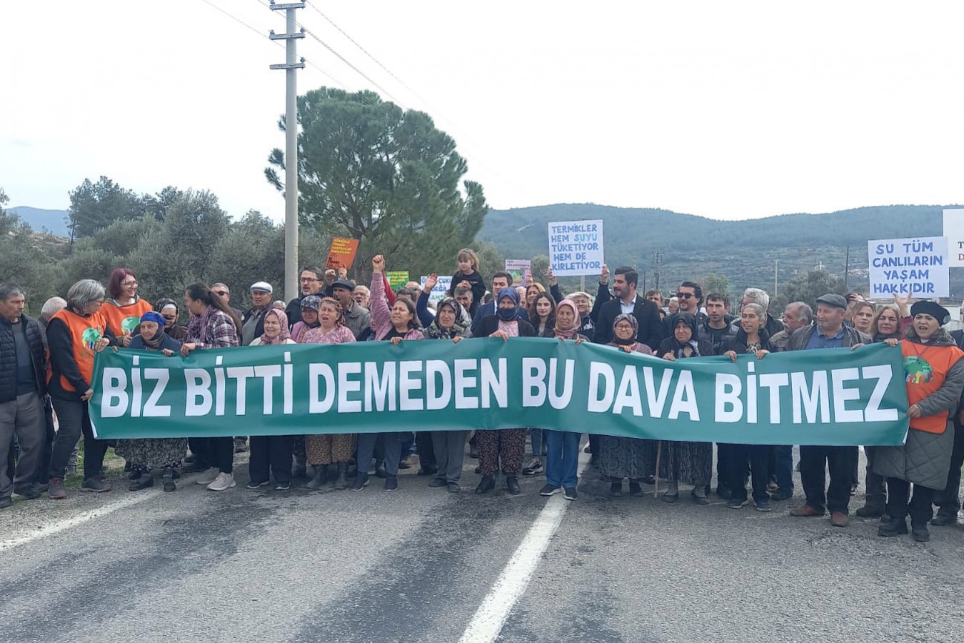 Tahsisler ve ormanların ormanlık alan statüsünden çıkarılması yangınların dört katı zarar veriyor.