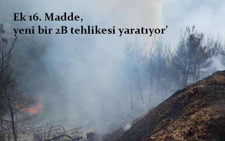 Türkiye Ormancılar Derneği, Orman Kanunu’na konulan Ek 16’ncı maddenin kaldırılmasını talep etti.