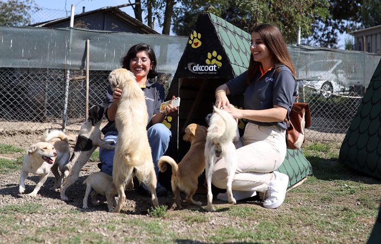 Akcoat, Geri Dönüşümle Sokak Hayvanlarına Yuva Oldu
