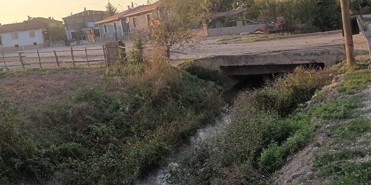 Erbaa ilçesi  Evyaba Mahallesi Kiler Sokağı Fareler  bastı