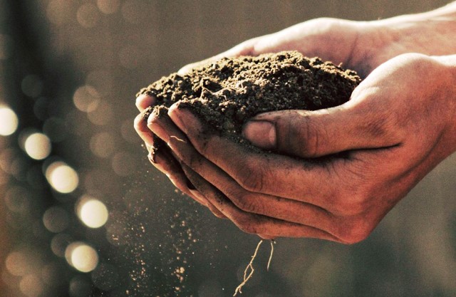 Sağlıklı yaşam için sağlıklı topraklara ihtiyacımız var!