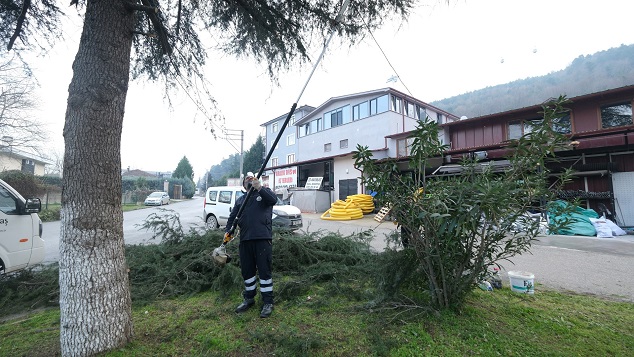Sapanca Belediyesi’nden İlçeye Bahar Bakımı