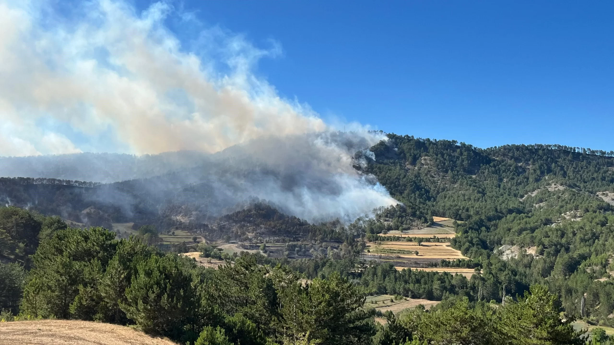 OGM: Orman Yangını Riski Kapıda!