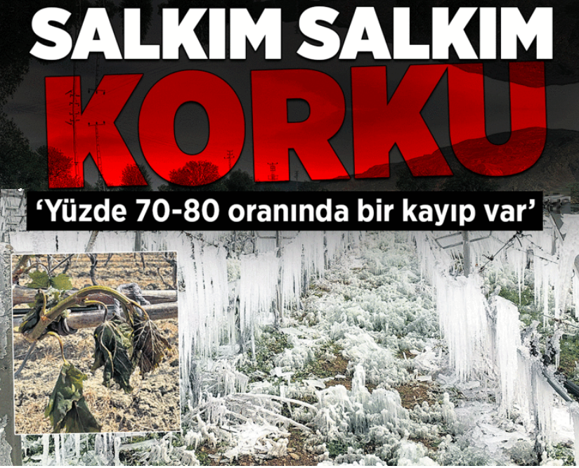 Baharda yaşanan kış, tarımı vurdu