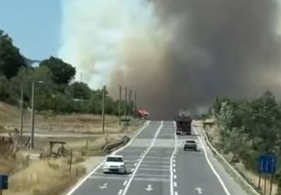 Taraklı İlçesi Hacıyakup Mahallesi’nde Meydana Gelen Orman Yangını