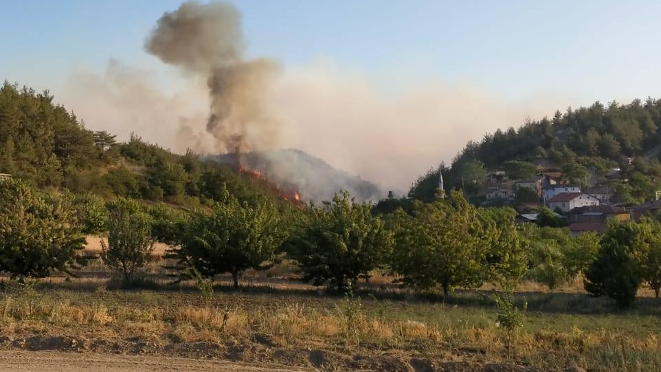 Yurdun dört bir yanında ormanlar yanıyor