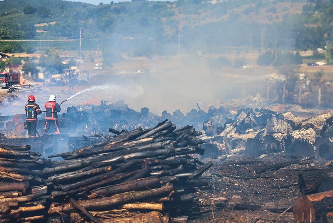 Büyükşehir’den Söğütlü’de çıkan yangınla ilgili açıklama