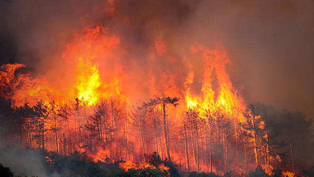 Bursa yangınında son durum! 1 kişi gözaltında