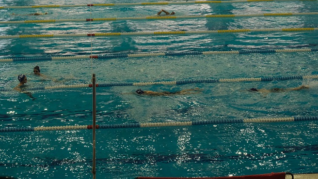 Sapanca Belediyesi Sporcularından Yüzmede Gurur Veren Başarı
