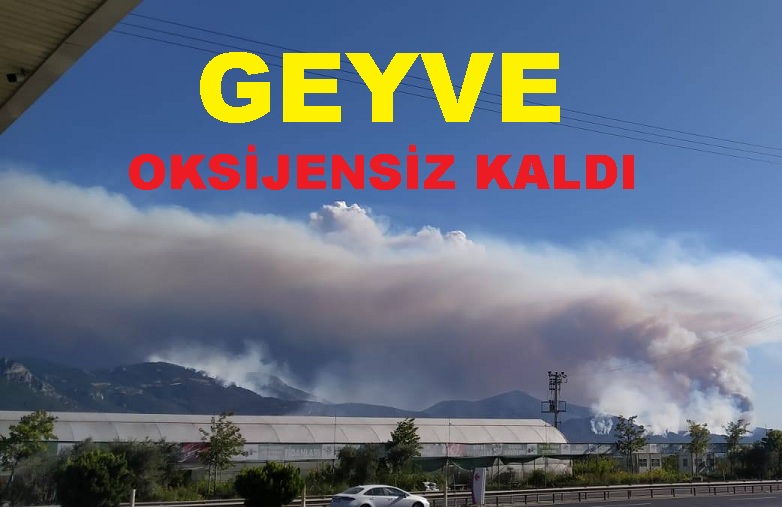 Geyve’den başlayan orman yangını Osmaneli’ye sıçradı