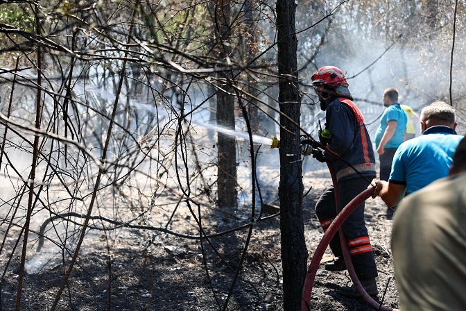 Büyükşehir İtfaiyesi yangın bölgelerinde tüm gücüyle müdahalede