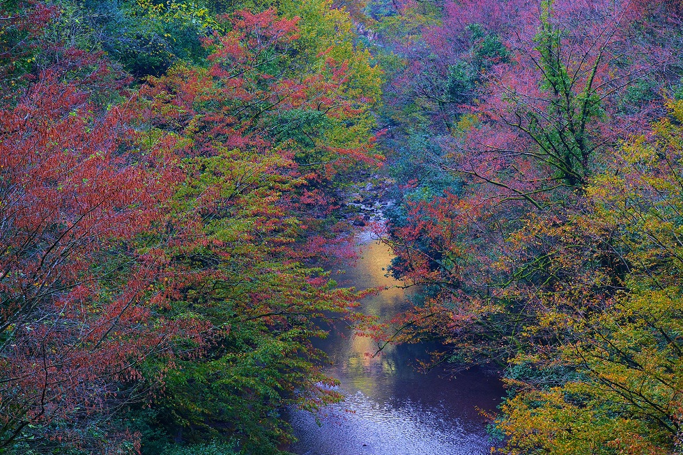 Kuzeyin tabiat harikaları arasında unutulmaz bir sonbahar yürüyüşü