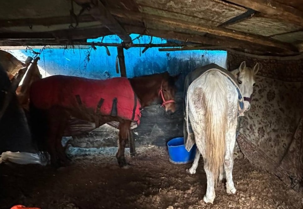 Sakarya’da at ve eşek kasapları jandarmanın fotokapanına takıldı! Şüpheliler yakalandı