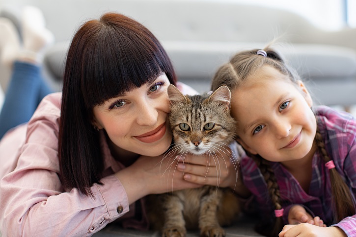 Kediler Hayatımızı Nasıl Daha İyi Hale Getiriyor?