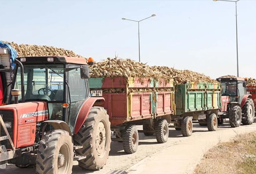 Adapazarı Şeker Fabrikası Yıldız Holding tarafından Bor Şeker’e satılıyor.