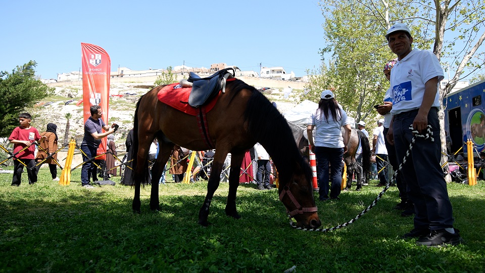 ŞANLIURFA KÜLTÜR YOLU FESTİVALİ DEVAM EDİYOR