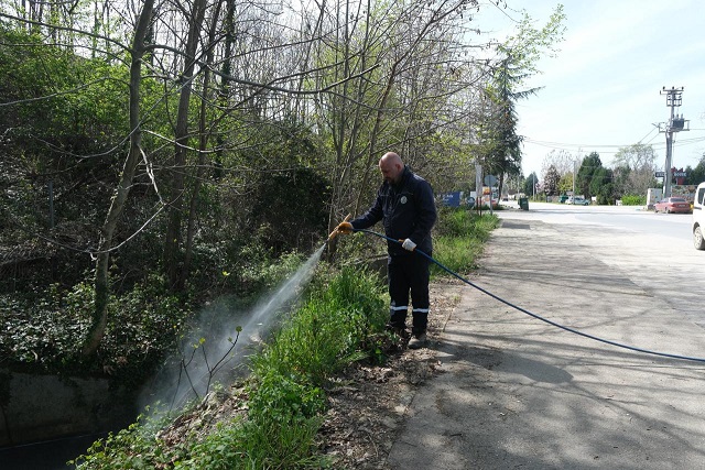 Sapanca’da Larva ile Mücadele Çalışmaları
