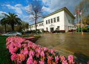 Sakarya’da baharın büyüleyici cümbüşü