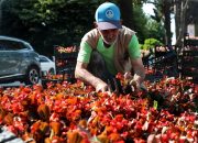 Sakarya’nın yeni yeşil ve yaşam alanları her geçen gün artıyor