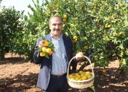 Yaş meyve sebze ihracatında ilk çeyrekte 1 milyar dolar aşıldı