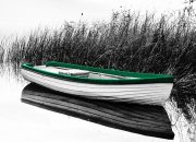 Uluslararası Sapanca Şiir Akşamları 23. kez: Şiir tutkunlarının beklediği gün geliyor