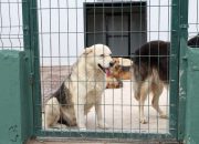 ÇEKMEKÖY ÖMERLİ MAHALLESİNDE DEV DOĞAL YAŞAM ALANI AÇILDI