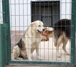 ÇEKMEKÖY ÖMERLİ MAHALLESİNDE DEV DOĞAL YAŞAM ALANI AÇILDI