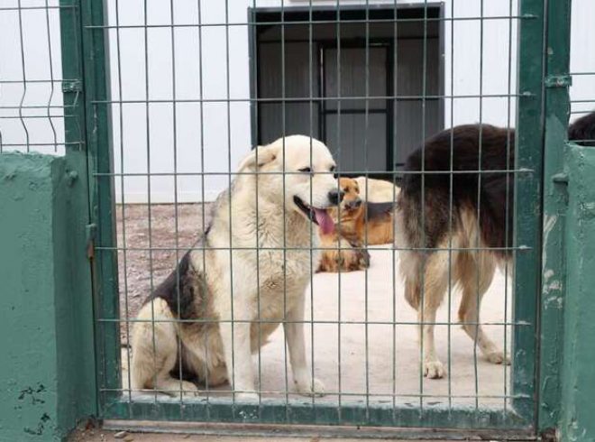 ÇEKMEKÖY ÖMERLİ MAHALLESİNDE DEV DOĞAL YAŞAM ALANI AÇILDI