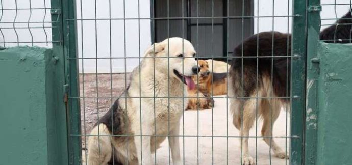 ÇEKMEKÖY ÖMERLİ MAHALLESİNDE DEV DOĞAL YAŞAM ALANI AÇILDI