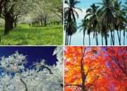 Türkiye’de  aynı anda  4 mevsim  yaşanıyor…