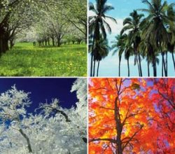 Türkiye’de  aynı anda  4 mevsim  yaşanıyor…