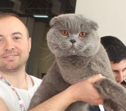 Pet İzmir 2026 Fuarı – Evcil Hayvan Sektörünün Buluşma Noktası