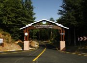 Doğanın kalbi Sakarya’da attı İki yeşil noktaya 605 bin ziyaretçi