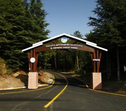 Doğanın kalbi Sakarya’da attı İki yeşil noktaya 605 bin ziyaretçi