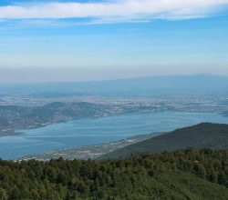 SASKİ Genel Müdürü Seyit Sakallıoğlu“Gölün mevcut durumunda farklı şehirlere su aktarımı mümkün değil”