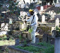 Büyükşehir 16 ilçeyi ‘bayramın en vefalı ziyaretine’ hazırlıyor