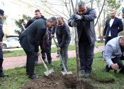 BAŞKAN ŞENOL DİNÇ “DAHA YEŞİL BİR ERENLER İÇİN ÇALIŞIYORUZ” Gelen Kutusu Erenler Belediyesi