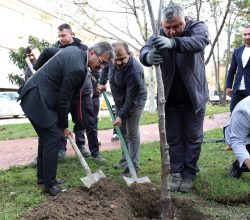 BAŞKAN ŞENOL DİNÇ “DAHA YEŞİL BİR ERENLER İÇİN ÇALIŞIYORUZ” Gelen Kutusu Erenler Belediyesi