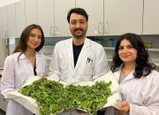 BİLGİ’li öğrenciler antibiyotik direncine karşı yenilikçi ve doğal bir yöntem geliştirdi