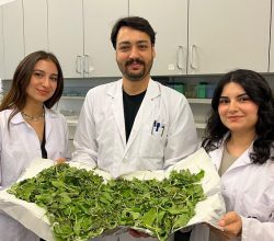 BİLGİ’li öğrenciler antibiyotik direncine karşı yenilikçi ve doğal bir yöntem geliştirdi