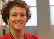 İklim değişikliği hayvanların yaşamını ve ekosistemleri tehdit ediyor!