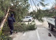 Sapanca Belediye Ekipleri Şiddetli Rüzgâr ve Fırtınada Sahada